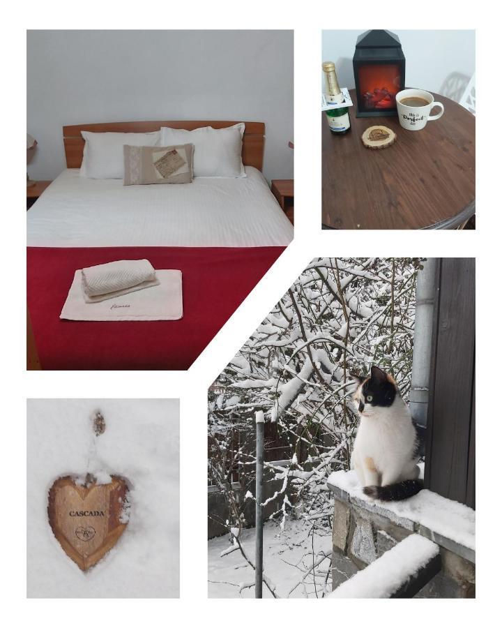 De Inchiriat Cascada Guest house Busteni