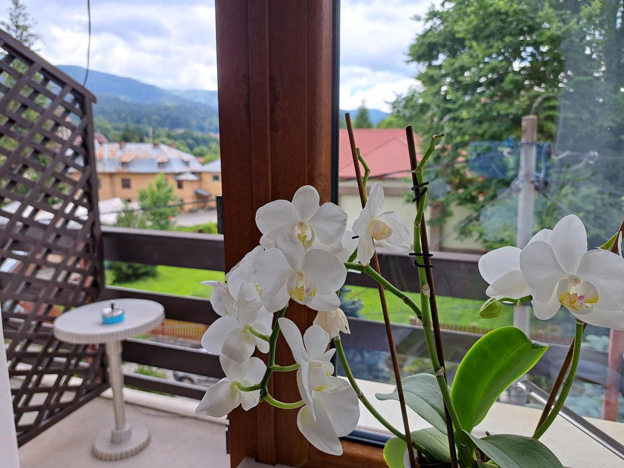 De Inchiriat Cascada Guest house 3*